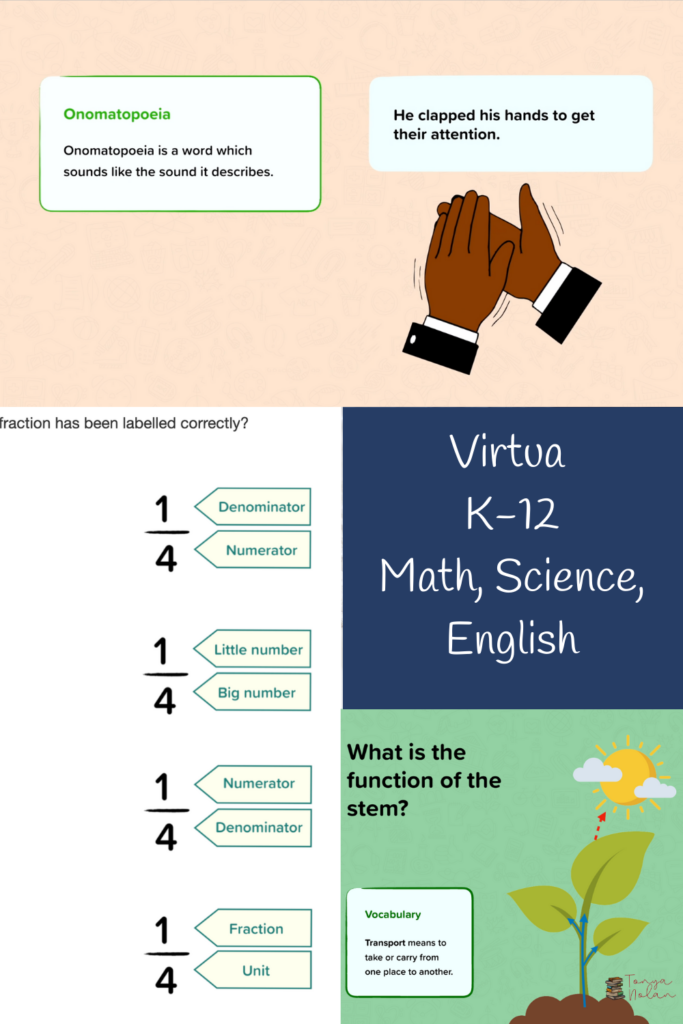 screen shots of Virtua education website page. 