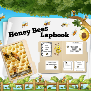 Honey Bees Lapbook