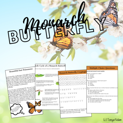 Life Cycle of a Monarch Butterfly Printable