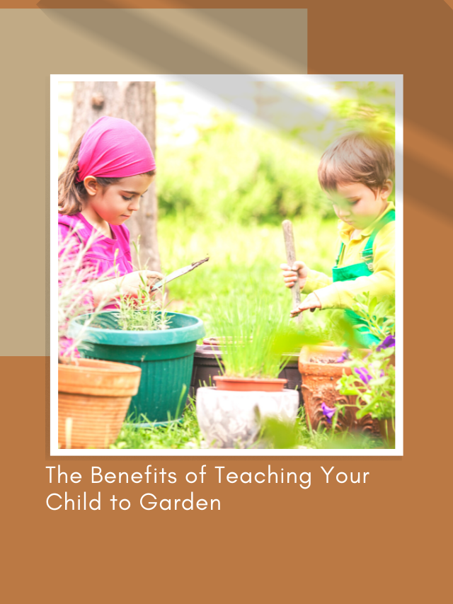 The Benefits of Teaching Your Child to Garden Web Story